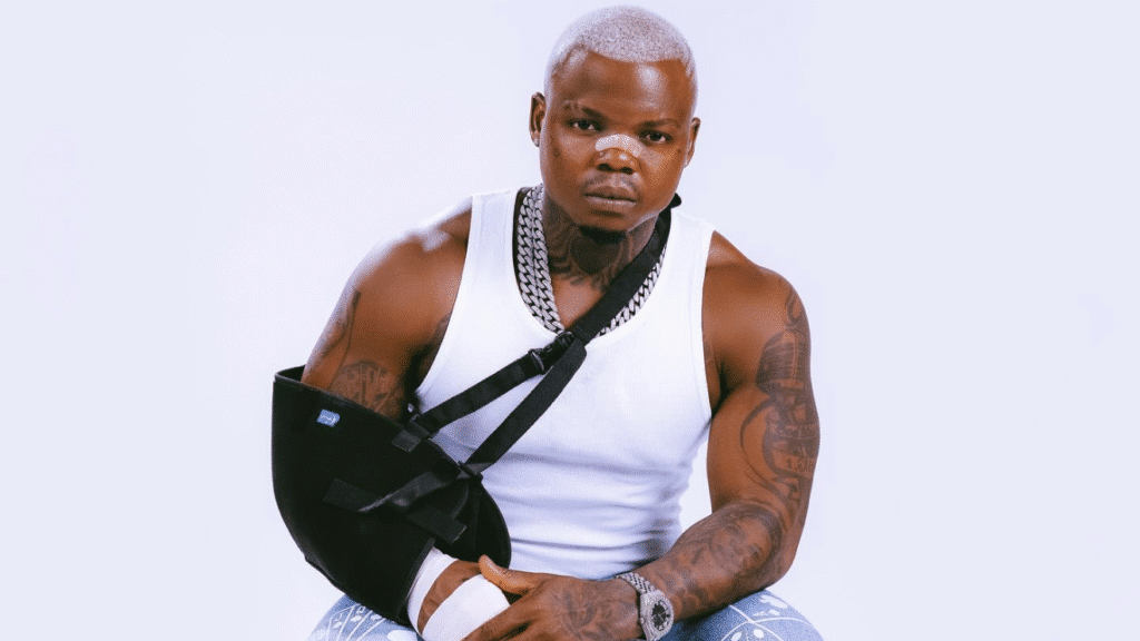 Harmonize plans to run for parliament seat on upcoming election